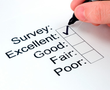 Image of a survey